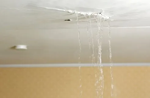 waterdemon