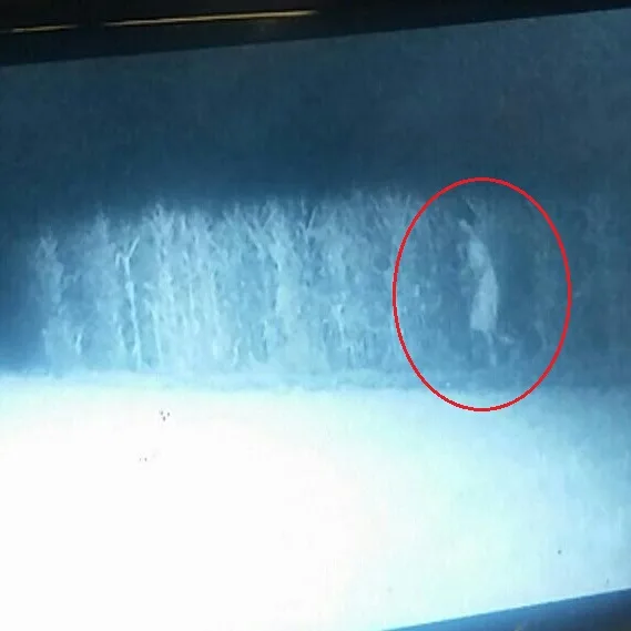 trailcamcircled