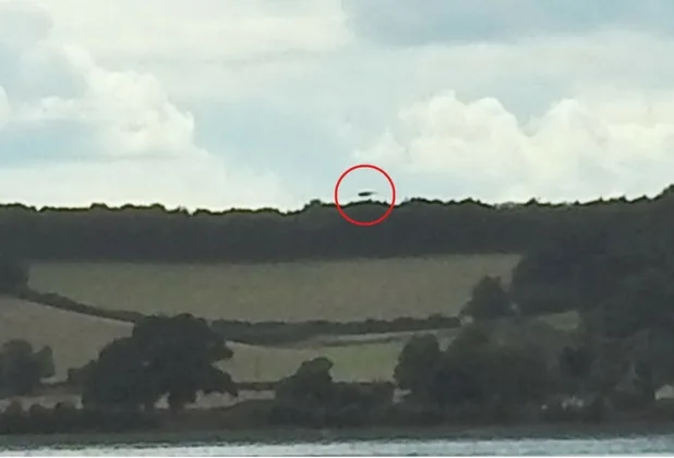 ufocow